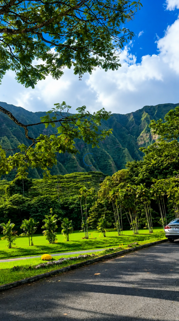 Notes From Somewhere Warm: Turning 30 in Hawaii. hooma 2
