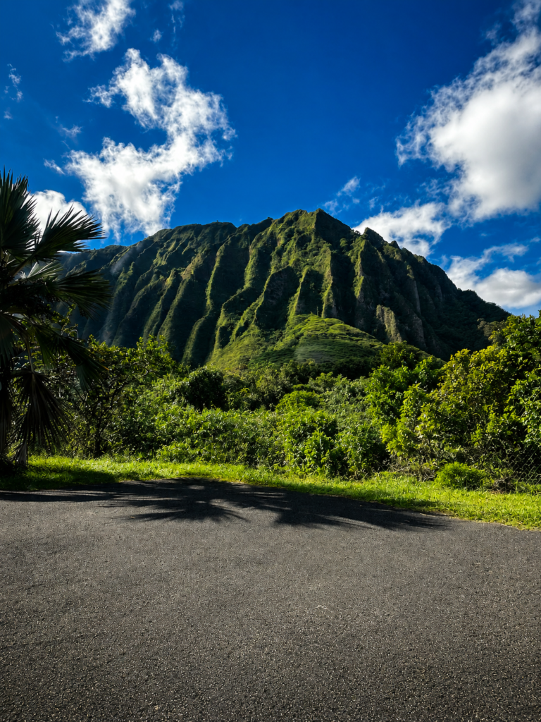 Notes From Somewhere Warm: Turning 30 in Hawaii. hooma 3