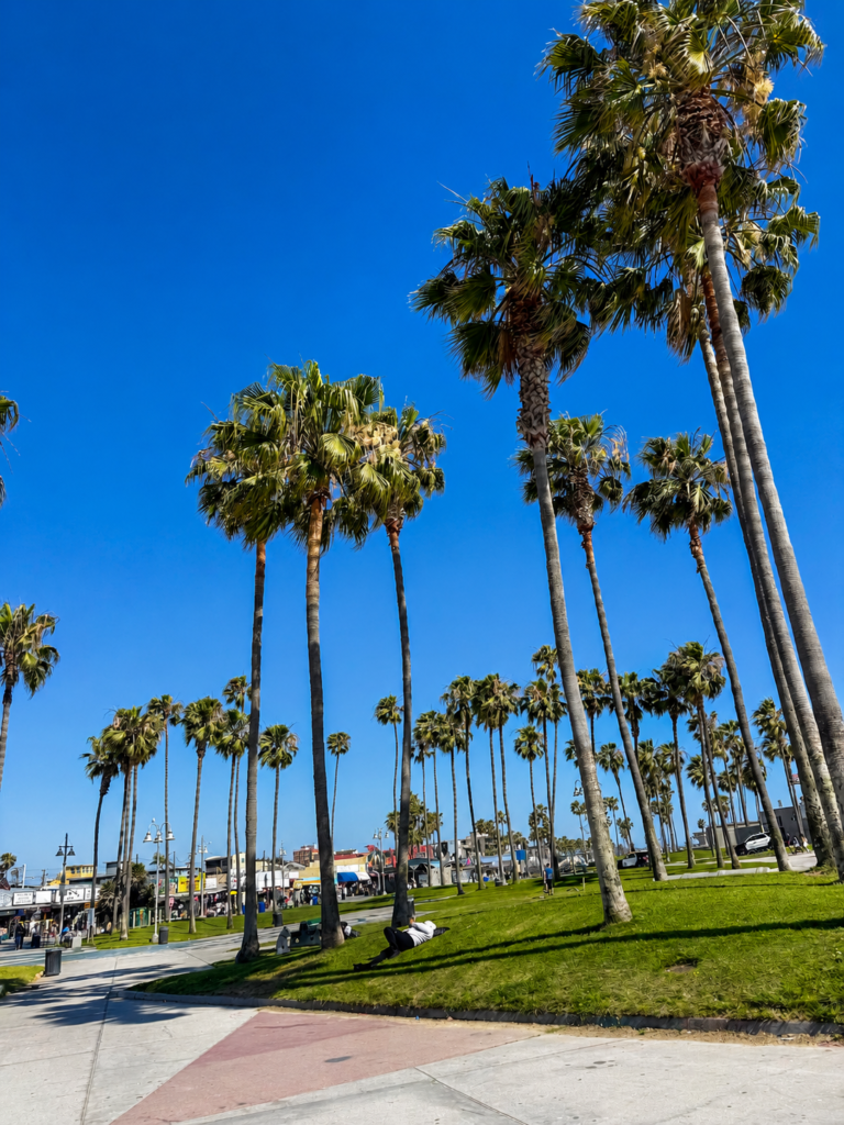 Los Angeles on a Budget: 10 Iconic Sights Without the Luxury Price Tag venice1